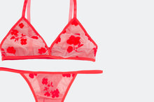 Load image into Gallery viewer, Candy Mesh Set